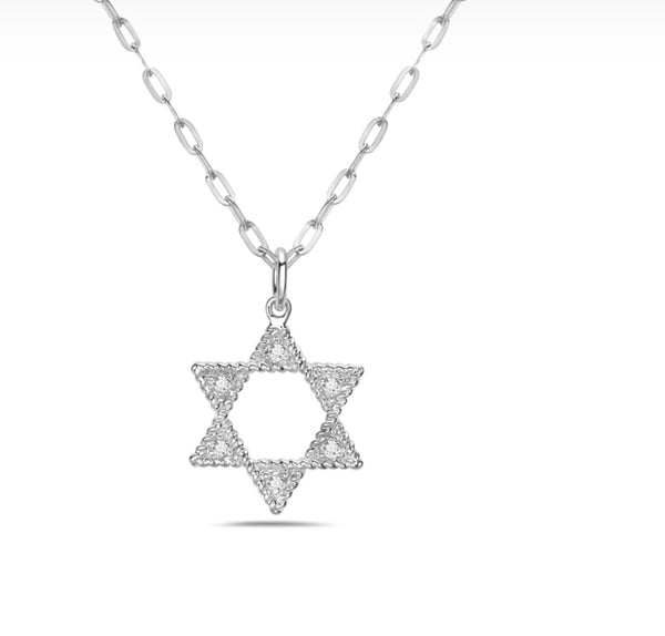 14 Karat White Gold Star of David Diamond Necklace